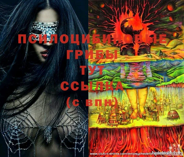 ECSTASY Семилуки