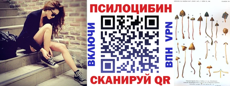 цены   гидра зеркало  Галлюциногенные грибы Magic Shrooms  Туран 