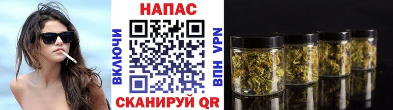 Шишки марихуана MAZAR  продажа наркотиков  Туран 